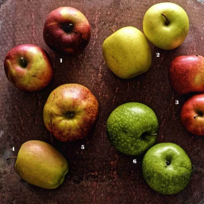 Appel - Christophe Adam