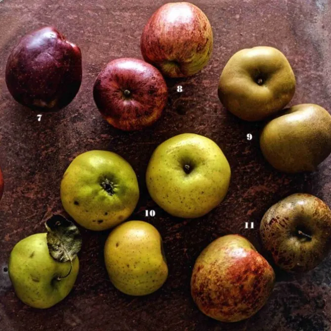 Appel - Christophe Adam