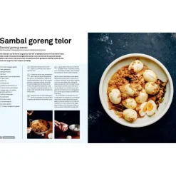 Basisboek Indonesisch