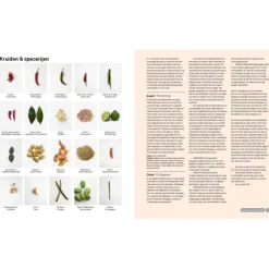 Basisboek Indonesisch