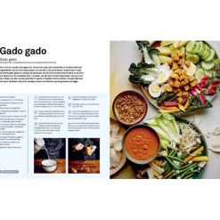 Basisboek Indonesisch