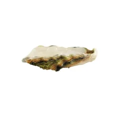 Bordallo Oyster schaal 60 x 25 x 15 cm aardewerk