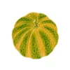 Bordallo pompoen dessertbord ø 22 cm aardewerk oranje