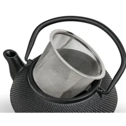 Bredemeijer Jang theepot 500 ml gietijzer zwart