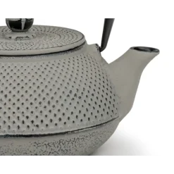 Bredemeijer Jang theepot 800 ml gietijzer Concrete Grey