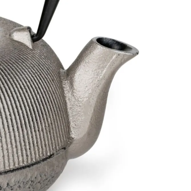 Bredemeijer Sichuan theepot 1 liter gietijzer Champagne