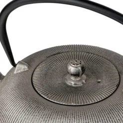 Bredemeijer Sichuan theepot 1 liter gietijzer Champagne