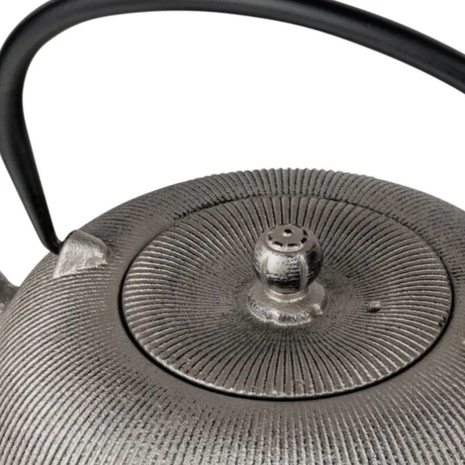 Bredemeijer Sichuan theepot 1 liter gietijzer Champagne