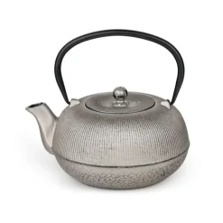 Bredemeijer Sichuan theepot 1 liter gietijzer Champagne