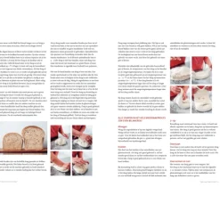Brood 2 : met zuurdesem of gist uit eigen oven - Levine van Doorne