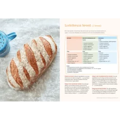 Brood 2 : met zuurdesem of gist uit eigen oven - Levine van Doorne