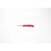 Burgvogel tourneermes 6 cm rood