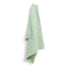 Cinderella Checkmaid handdoek 55 x 50 cm groen