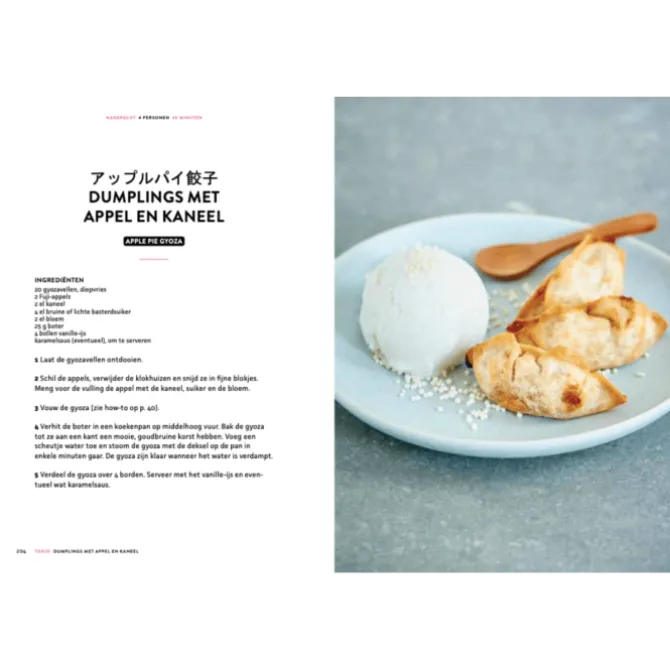 De bijbel van de Japanse keuken
