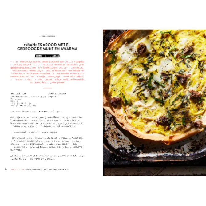 De bijbel van de Libanese keuken