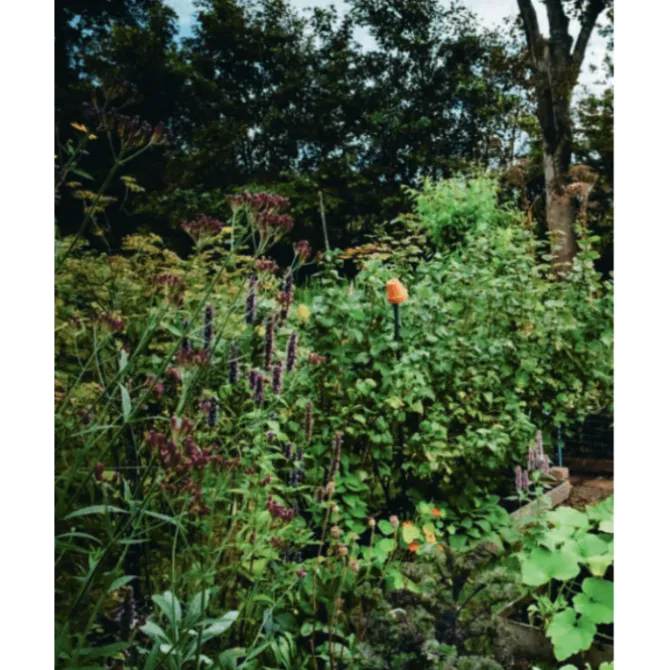 De Meisjes van de Moestuin