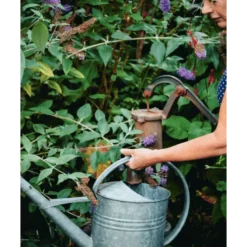 De Meisjes van de Moestuin