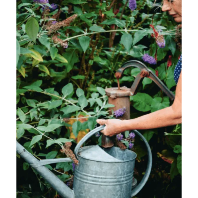 De Meisjes van de Moestuin