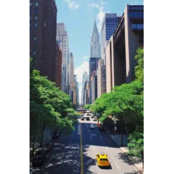 Eat like a local : New York