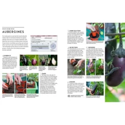 Een jaar in de moestuin : groente en fruit uit eigen tuin