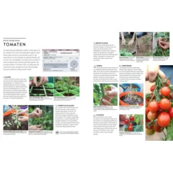 Een jaar in de moestuin : groente en fruit uit eigen tuin