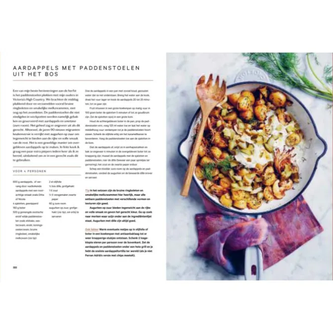Een ode aan groenten : boordevol recepten, technieken & tips