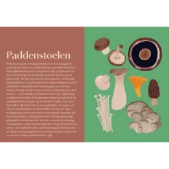 Een ode aan groenten : boordevol recepten, technieken & tips