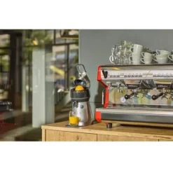 Espressions theJuicer citruspers rvs
