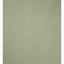 Finesse Monaco placemat 30 x 45 cm kunstleer Green Tea