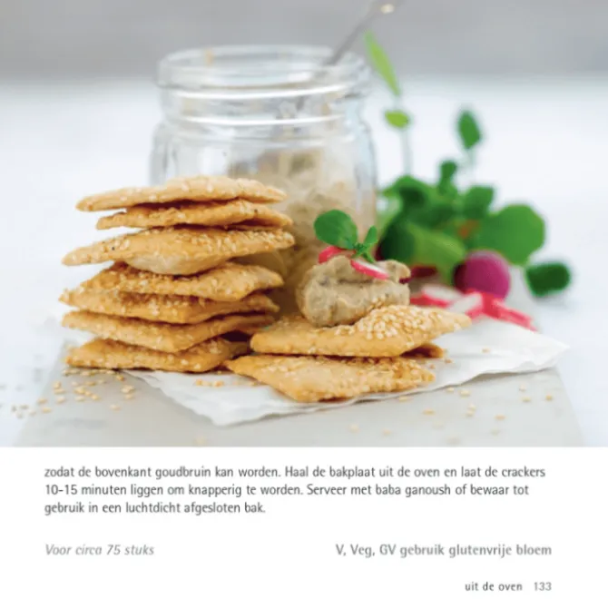 500 fingerfood recepten