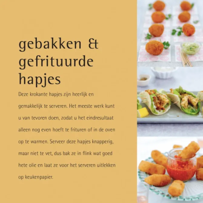 500 fingerfood recepten