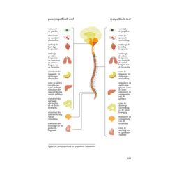 FOOD BODY MIND : rem inflammatie, blijf langer gezond - PRE-ORDER (september)