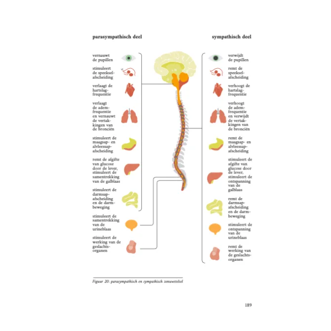 FOOD BODY MIND : rem inflammatie, blijf langer gezond - PRE-ORDER (september)