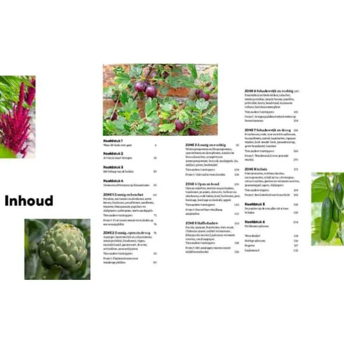 Grow Food Anywhere