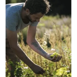 Herbas : kruiden, recht uit de natuur op je bord