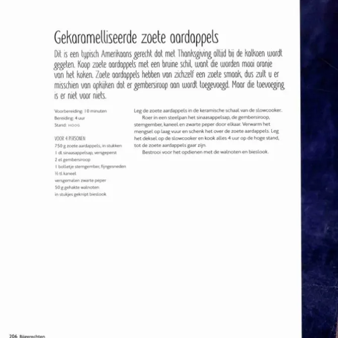 Het slowcooker kookboek