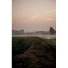 Hollandse kaas : Betty Koster