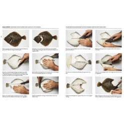 Homakase : stap voor stap home made sushi