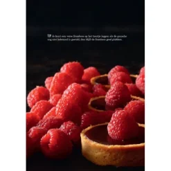 Kleine taartjes : 1 basisrecept, 60 variaties