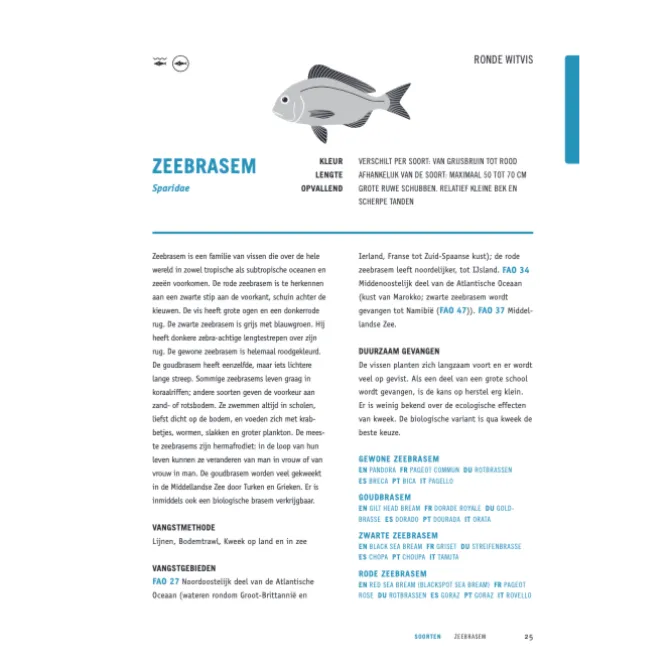 Kookbijbels - Visbijbel : werken met vis