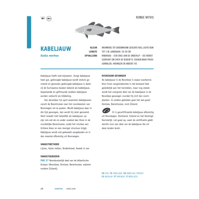 Kookbijbels - Visbijbel : werken met vis