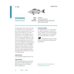 Kookbijbels - Visbijbel : werken met vis