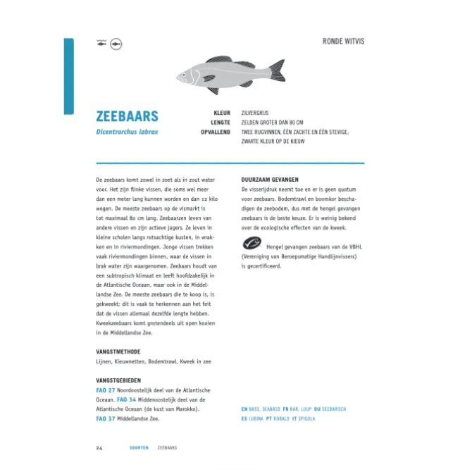 Kookbijbels - Visbijbel : werken met vis