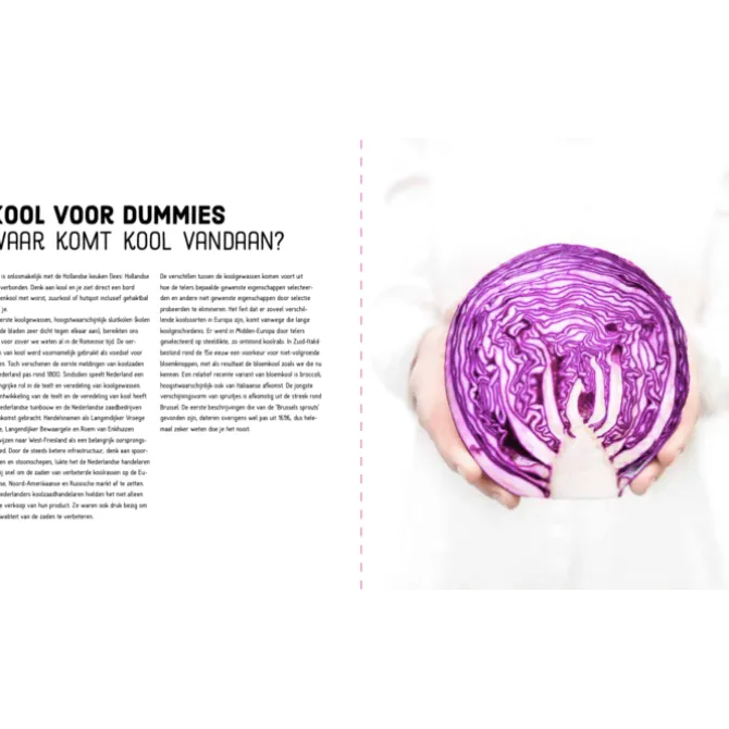 Kooltje: een ode aan alle kolen in 70 recepten