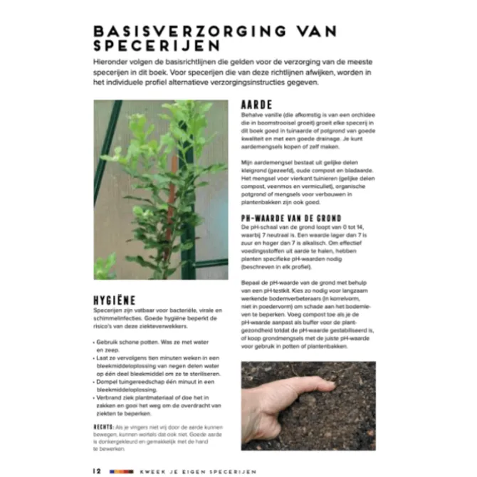 Kweek je eigen specerijen
