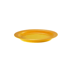 Le Creuset dinerbord ø 27 cm aardewerk Nectar