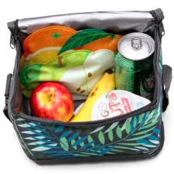 Monkey Business Icepadz Fruit icepacks 2-delig