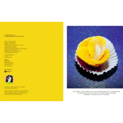 Mooncake : Het bakboek