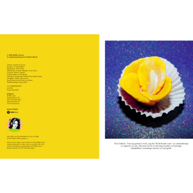 Mooncake : Het bakboek