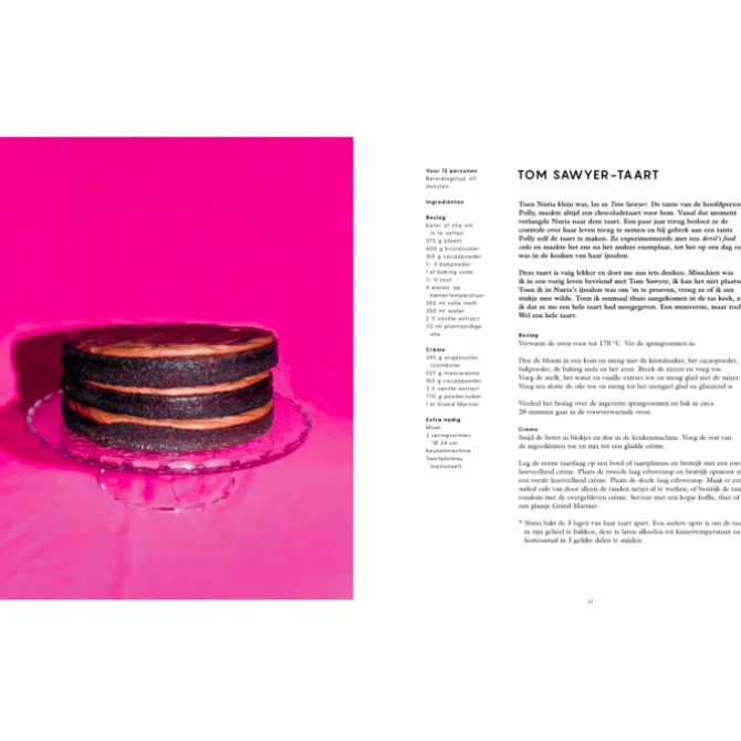 Mooncake : Het bakboek